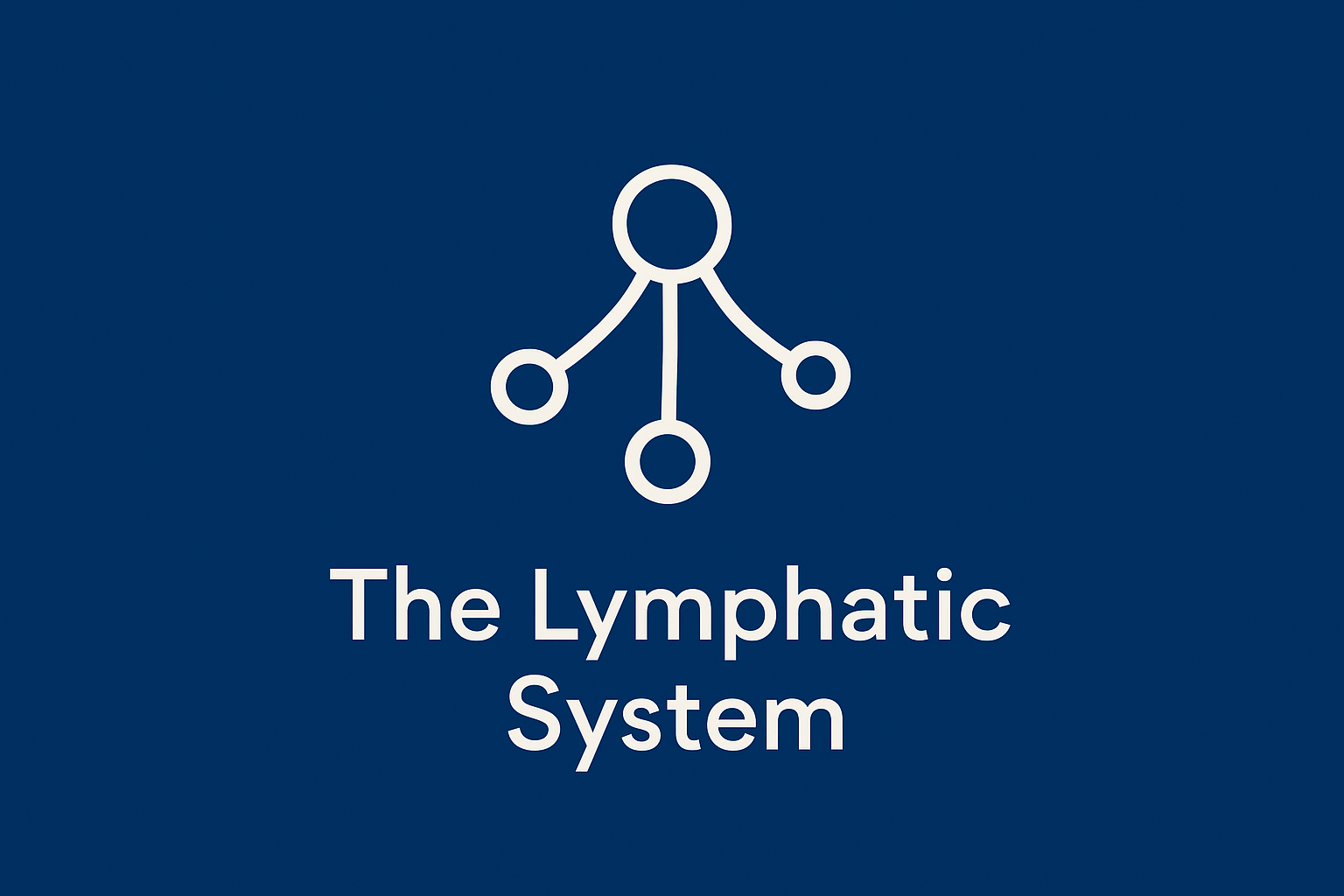 The Lymphatic System: Part 10 of the Human Body Series