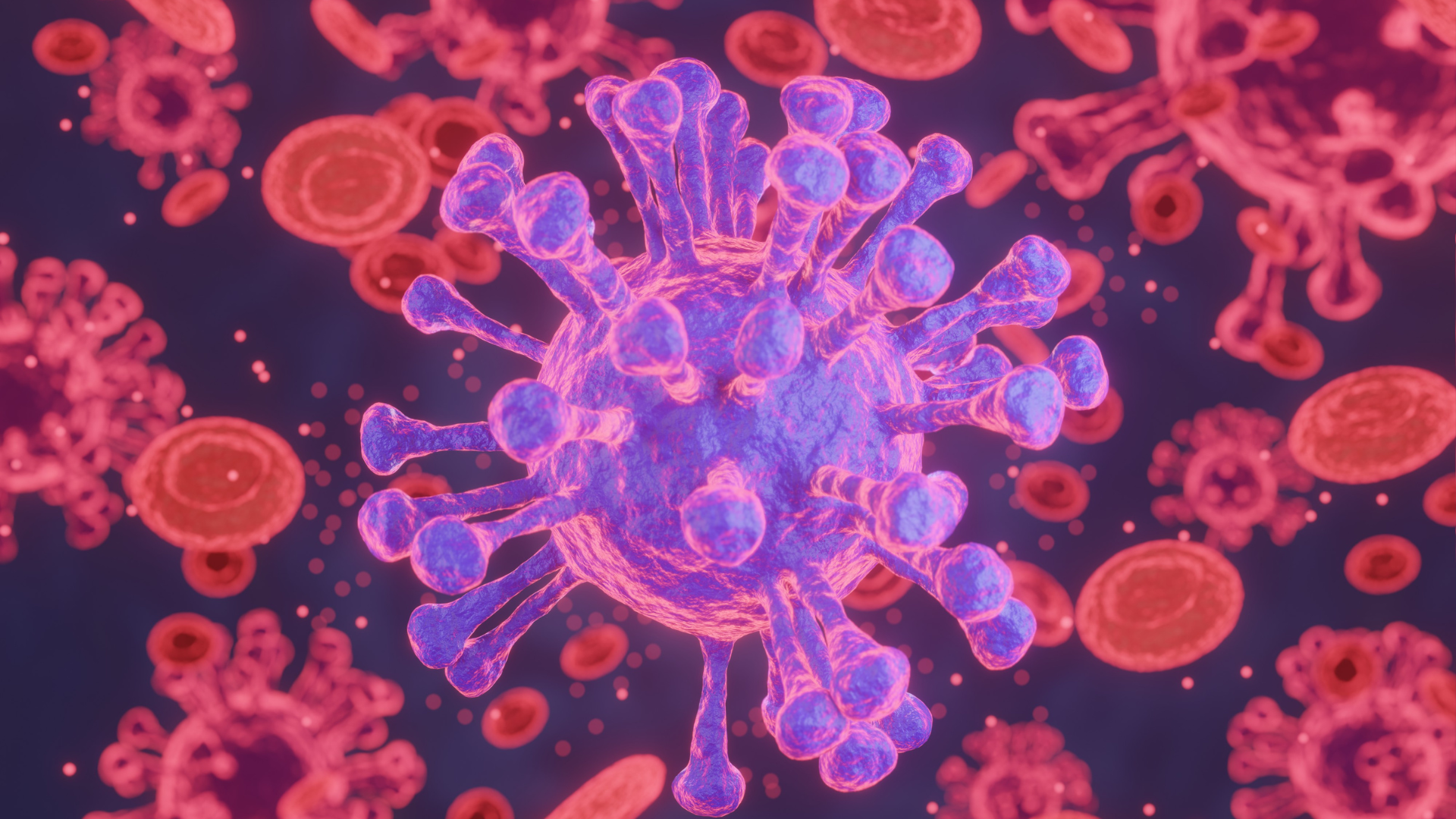 Types of Immune Cells