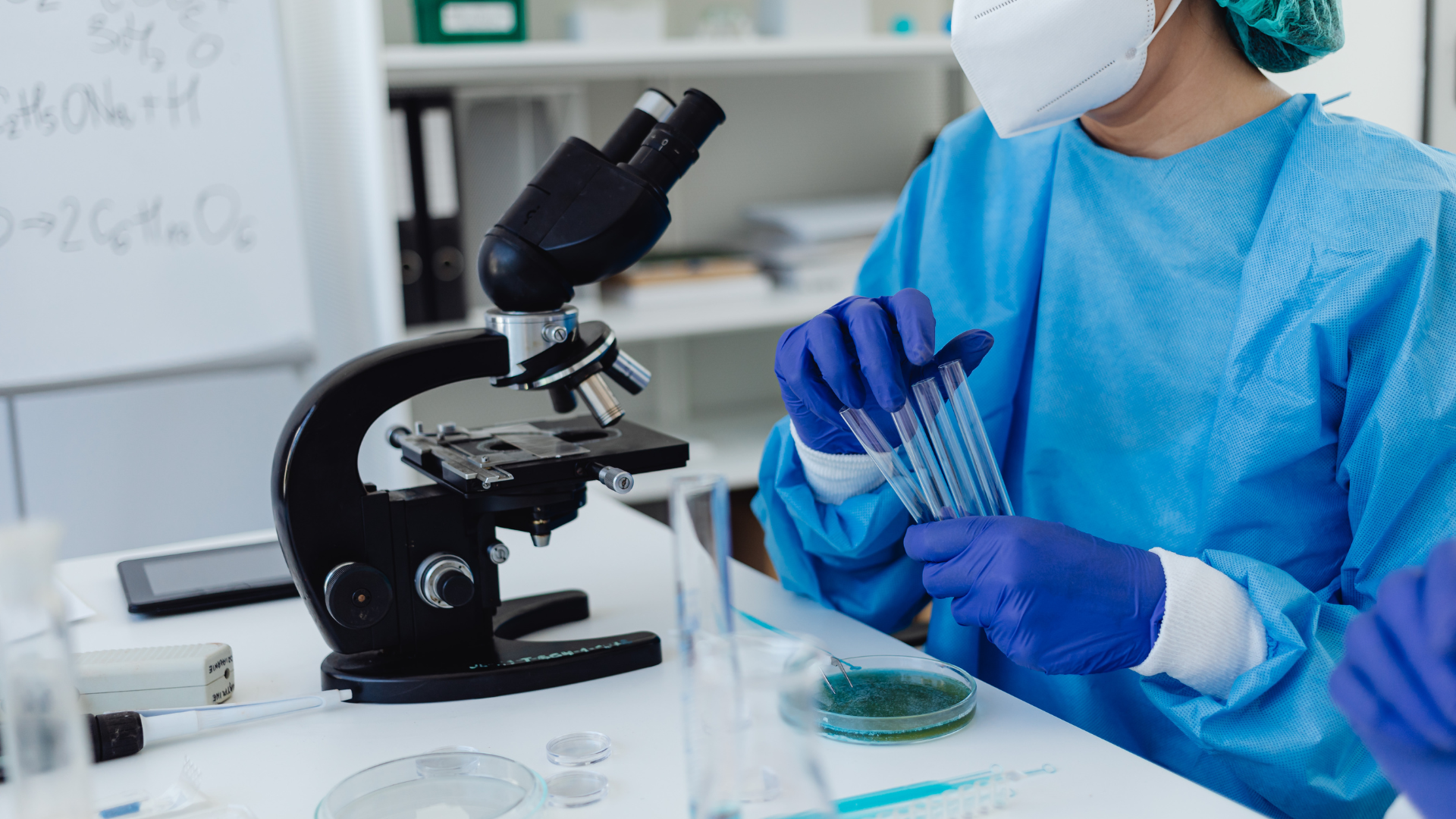Developing a Pre-Medical Profile: Experience, Commitment, and Growth